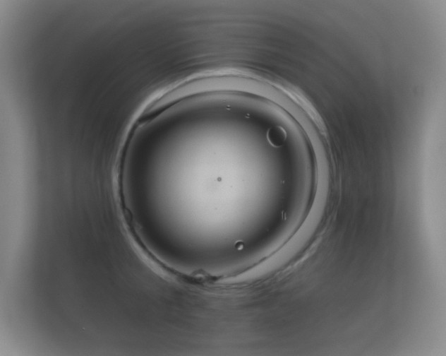 X0000112160805200908141233