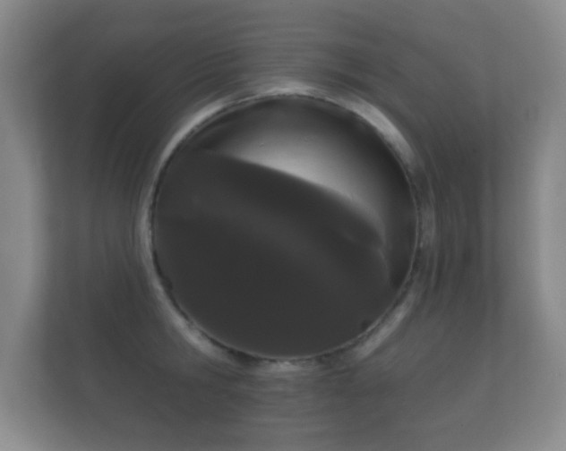 X0000112160806200908141233