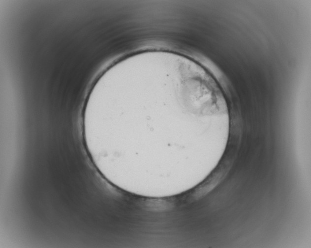 X0000112160807200908141233