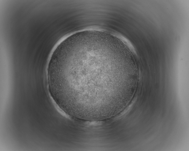 X0000112160808200908141233