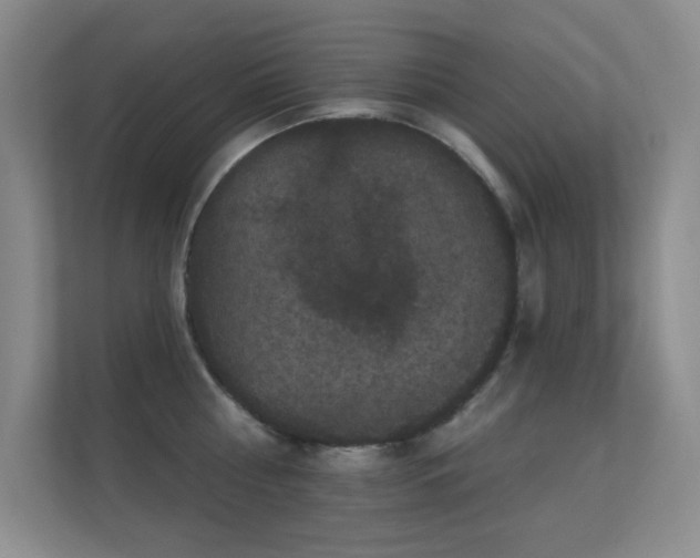 X0000112160810200908141233