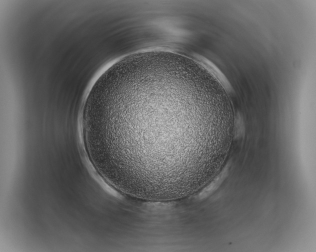 X0000112160812200908141233