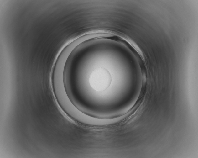 X0000112160813200908141233