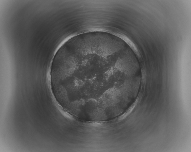 X0000112160814200908141233