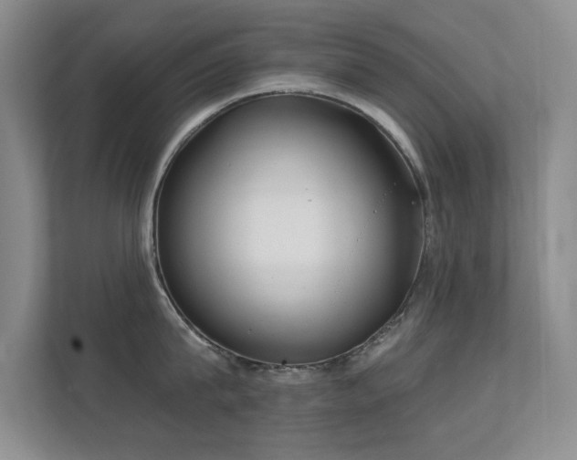 X0000112160815200908141233