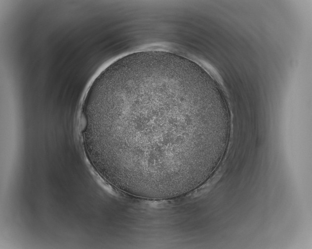 X0000112160816200908141233
