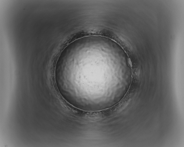 X0000112160817200908141232