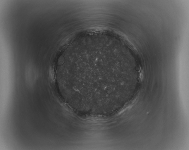 X0000112160819200908141232