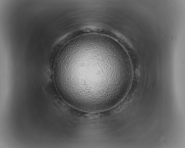 X0000112160822200908141232