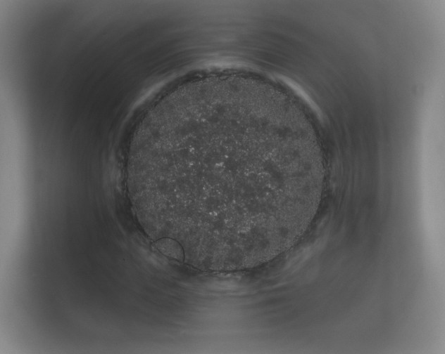 X0000112160823200908141232