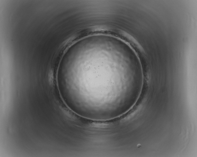 X0000112160825200908141233