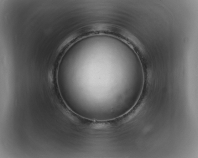 X0000112160826200908141233