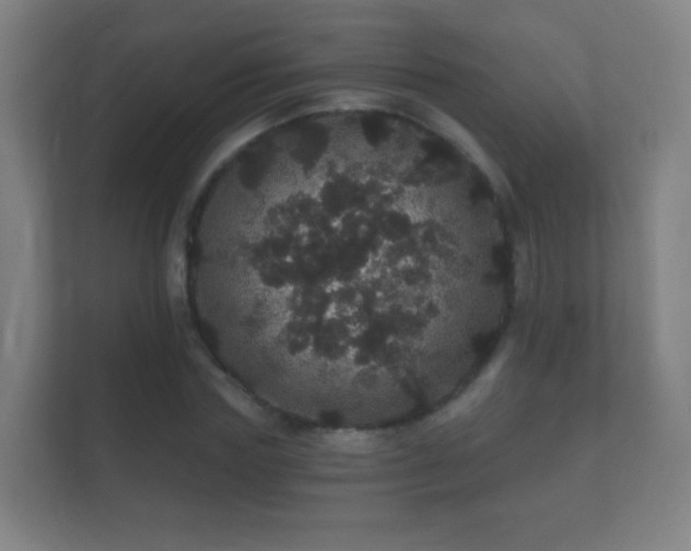 X0000112160827200908141233