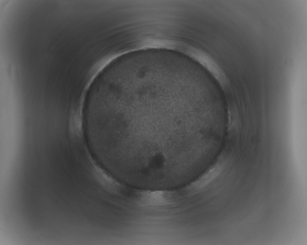 X0000112160828200908141233