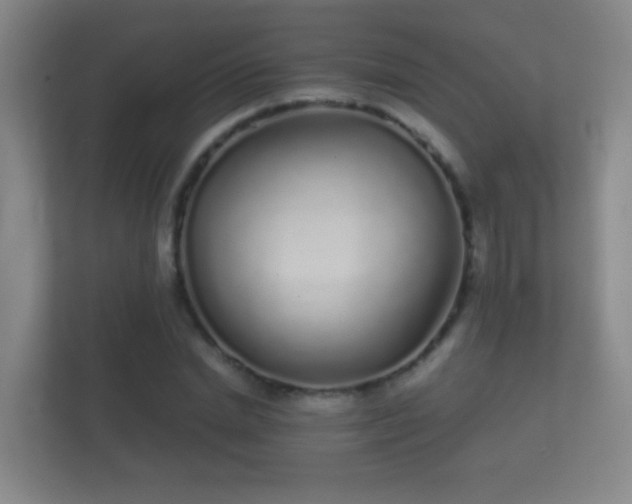 X0000112160830200908141233