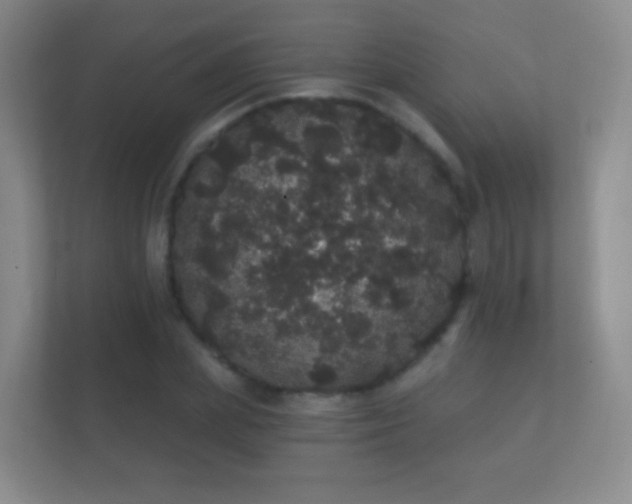 X0000112160831200908141233