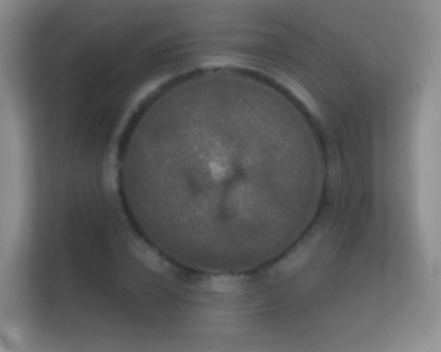 X0000112160832200908141233