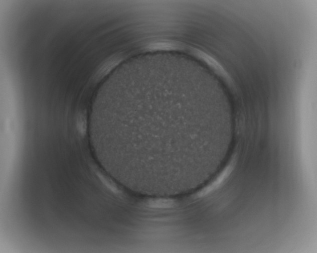 X0000112160833200908141233