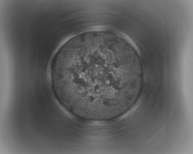 X0000112160835200908141233
