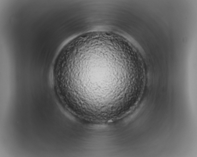 X0000112160838200908141233