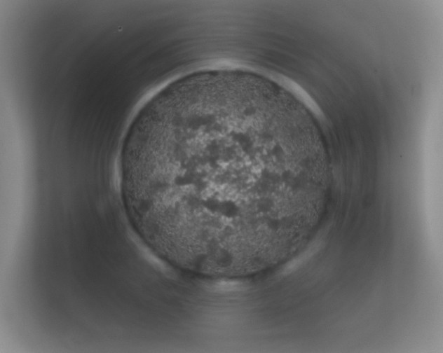 X0000112160839200908141233