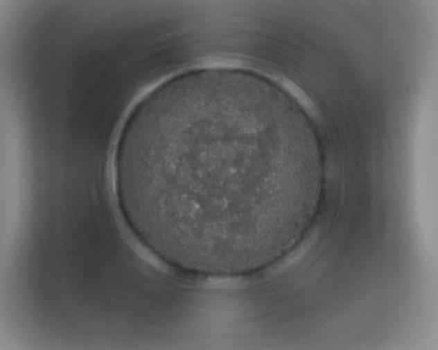 X0000112160840200908141233