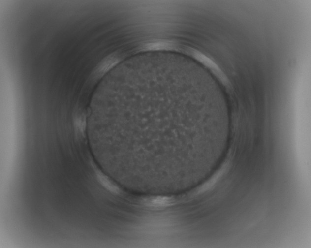 X0000112160841200908141233
