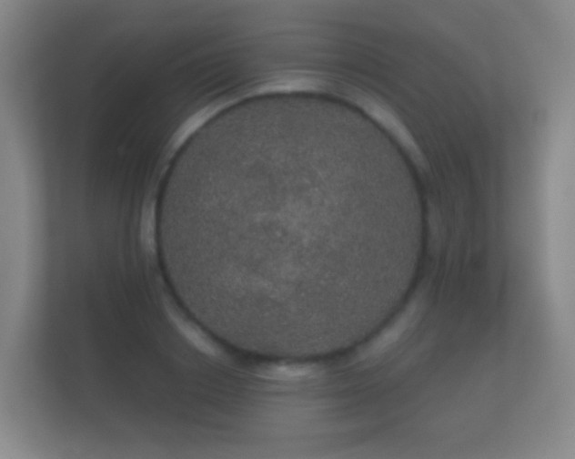 X0000112160842200908141233