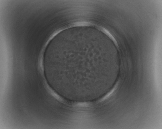 X0000112160843200908141233