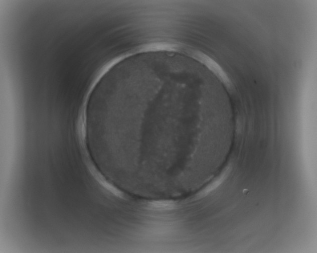X0000112160844200908141233