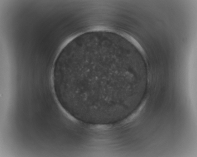 X0000112160847200908141233