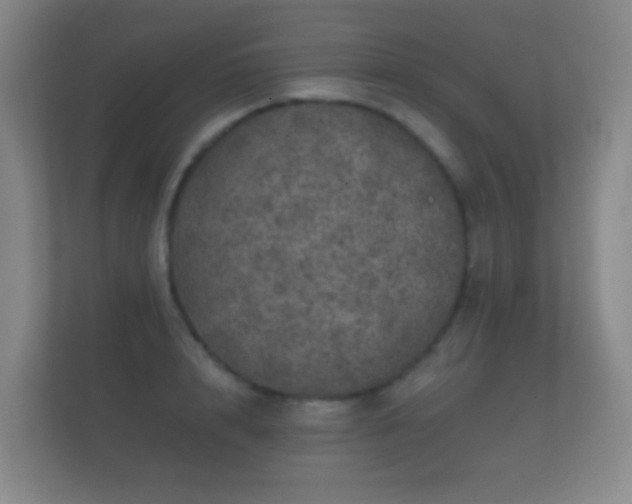 X0000112160848200908141233