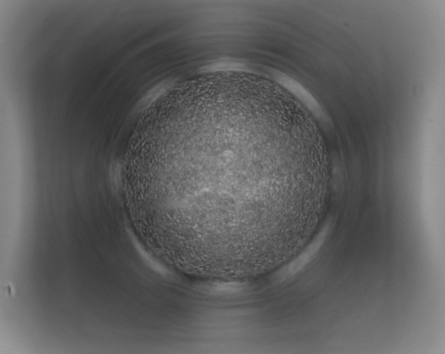 X0000112160849200908141233