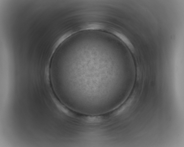 X0000112160850200908141233