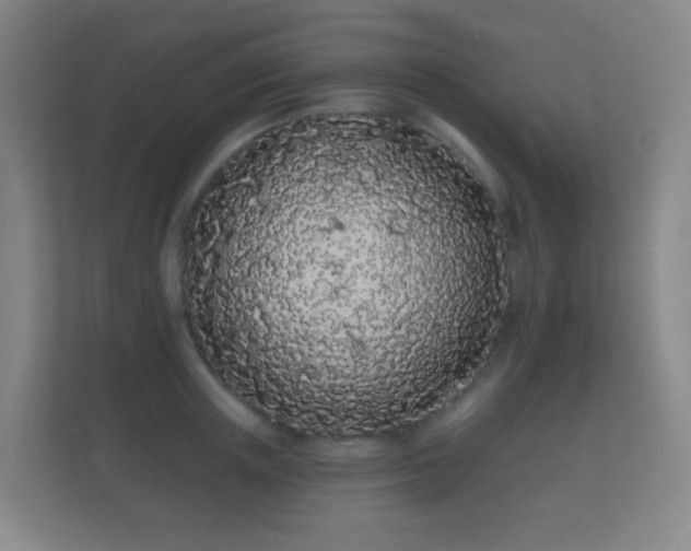 X0000112160851200908141233