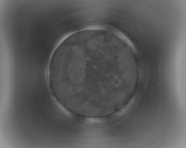 X0000112160852200908141233