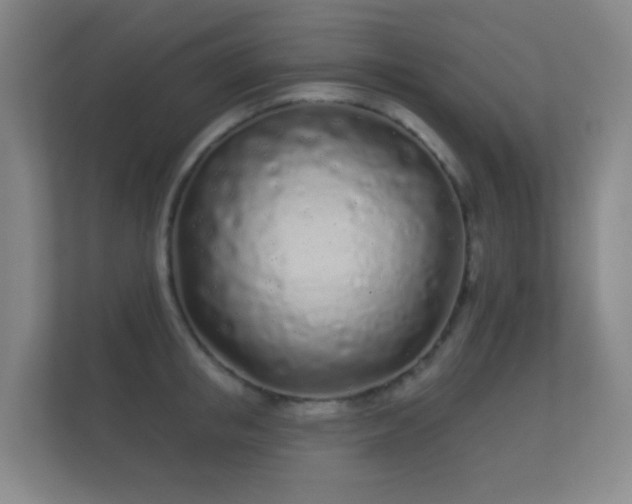 X0000112160853200908141233