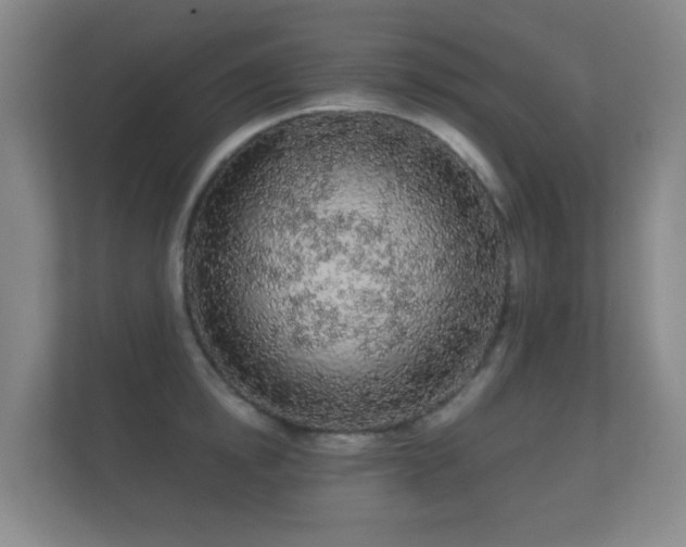 X0000112160854200908141233