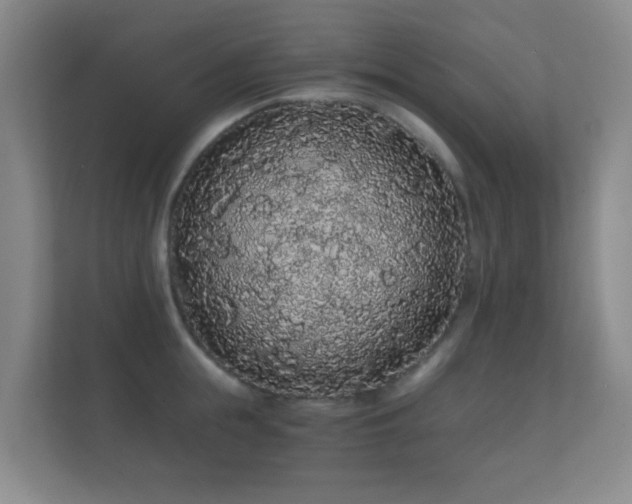 X0000112160855200908141233