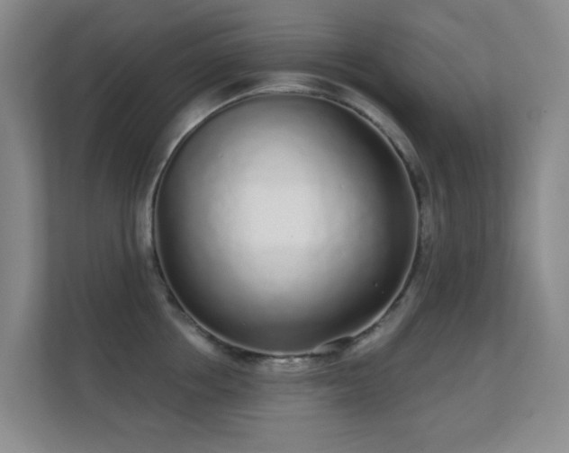 X0000112160858200908141233