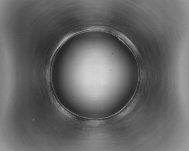 X0000112160860200908141233