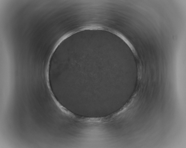 X0000112160861200908141233