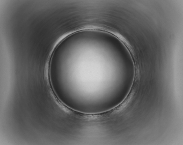 X0000112160862200908141233