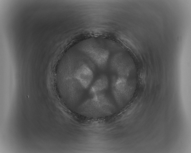 X0000112160865200908141232