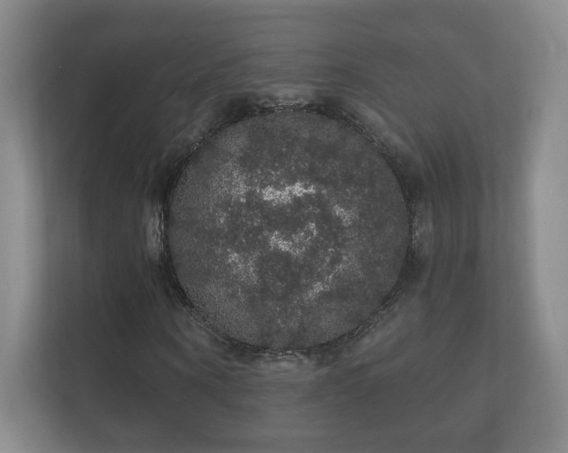 X0000112160866200908141232