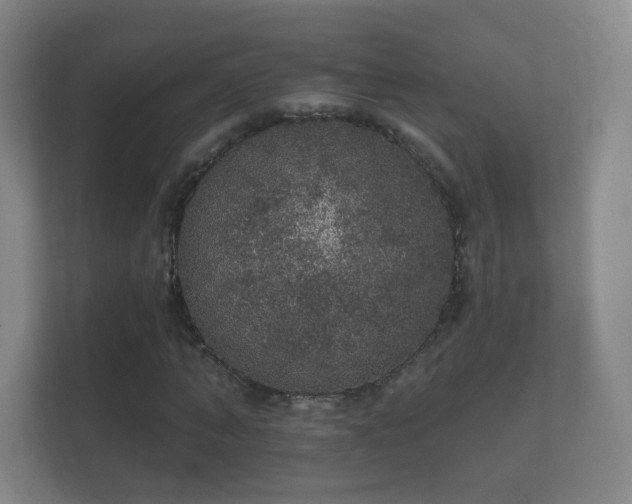 X0000112160870200908141232