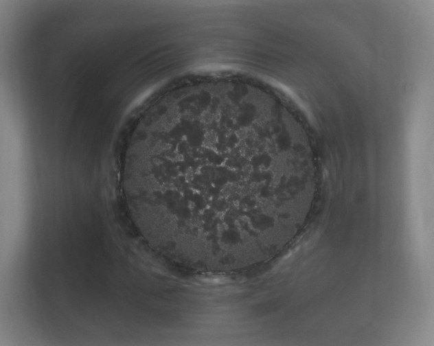 X0000112160871200908141232