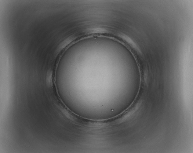 X0000112160873200908141232