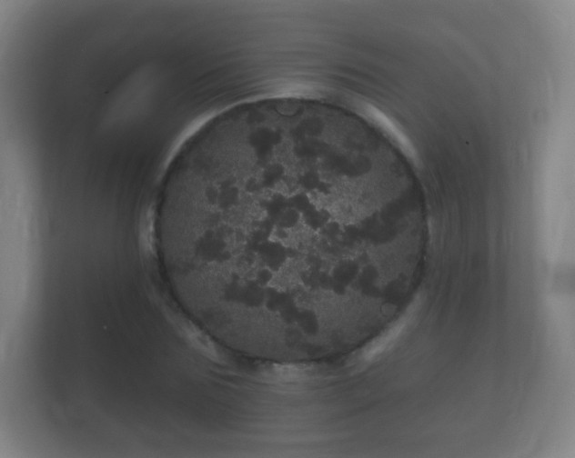 X0000112160875200908141232