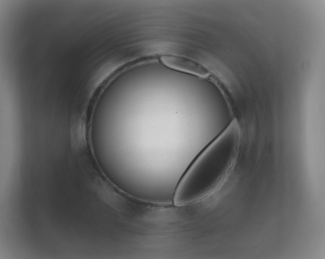 X0000112160877200908141232